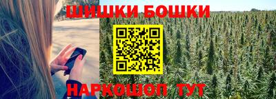 шишки Будённовск