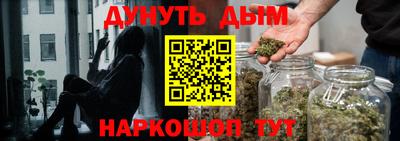 шишки Будённовск
