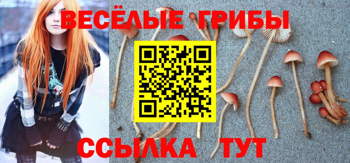 Тюмень  Псилоцибиновые грибы Magic Shrooms  Галлюциногенные грибы Psilocybe  Вход с VPN 