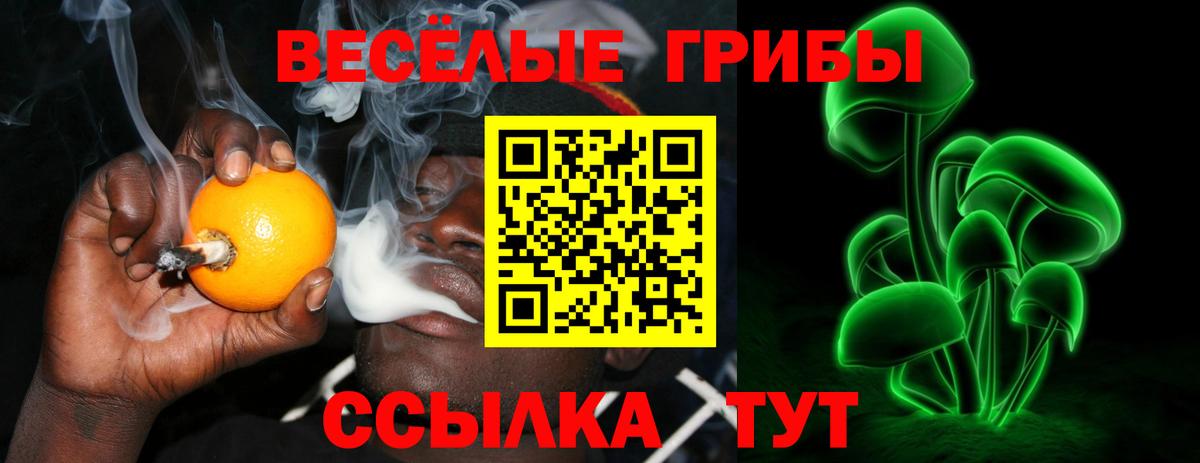 Галлюциногенные грибы Cubensis Тюмень